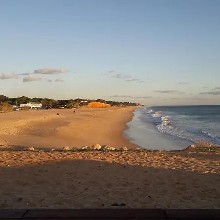 Felicidade אלמנסיל